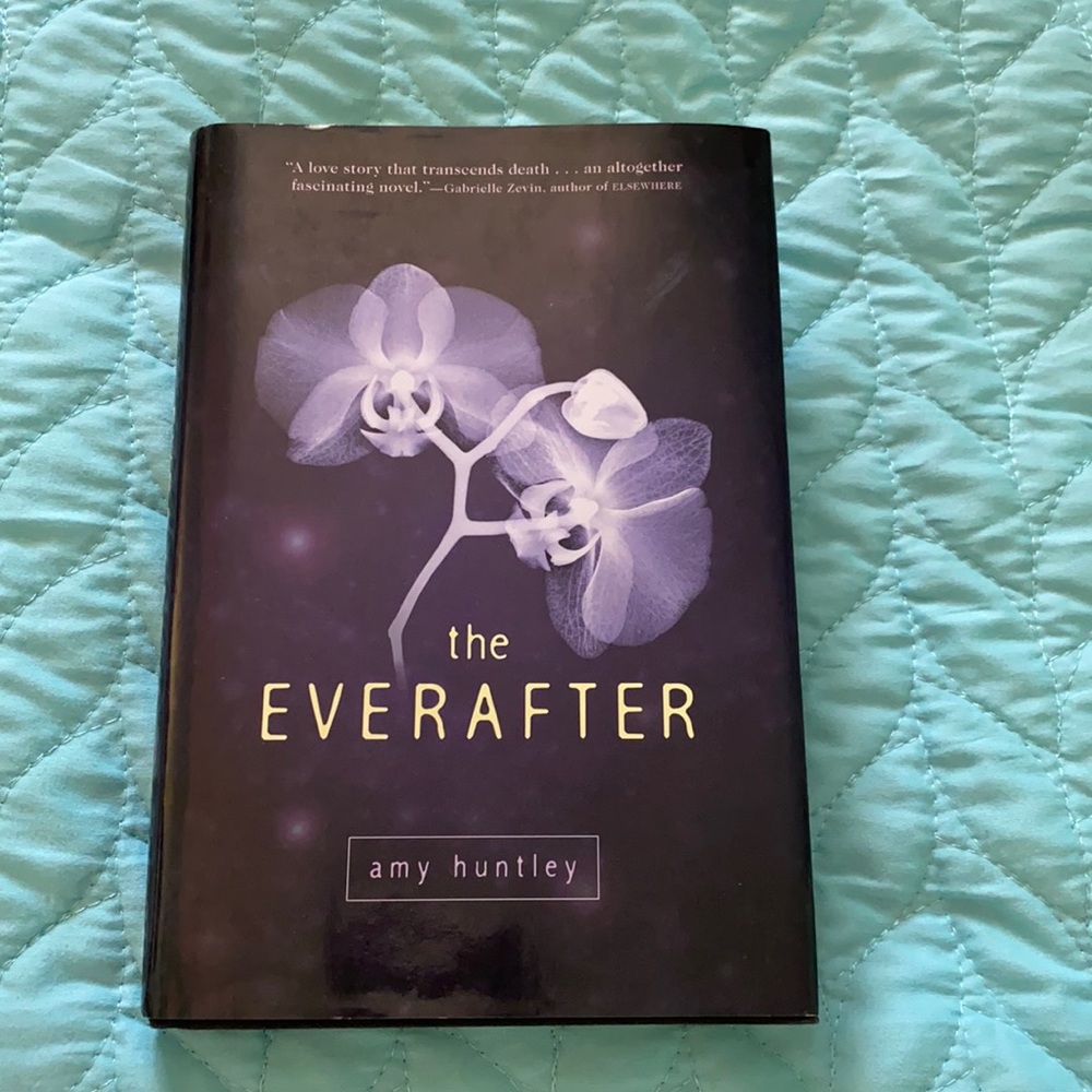 The Everafter (Book)